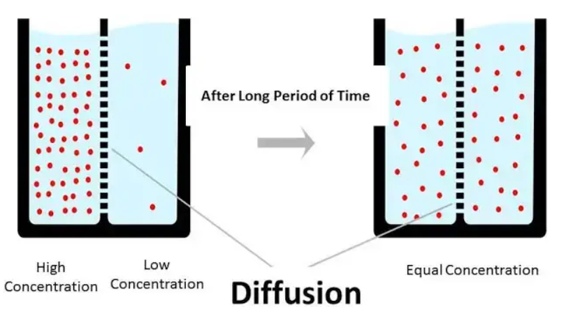 3-Diffusion Principles and Mechanisms