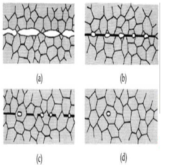 5-Mechanisms of Diffusion