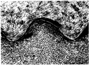 10-Microstructure of steel, steel wavy interface of explosive welding