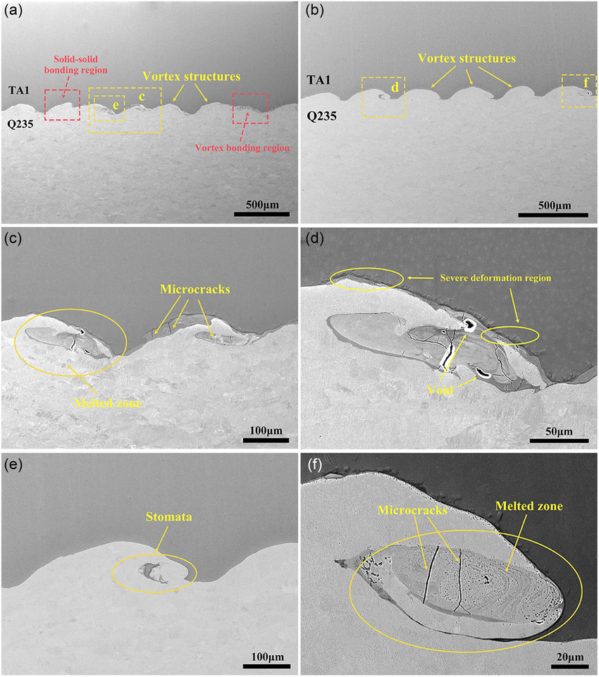 16-Scanning Electron Microscopy